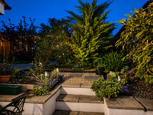 Garden at night- click for photo gallery